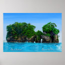 Search for toro posters Tropical
