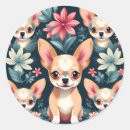 Search for cartoon pet stickers Pattern