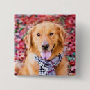 Search for retriever badges Puppy