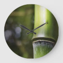 Search for bamboo clocks Plants