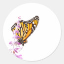 Search for orange monarch butterflies stickers Bug