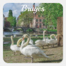Search for swan bird stickers Nature