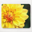 Search for yellow mousepads Garden