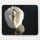 Search for pond reflection mousepads Photography