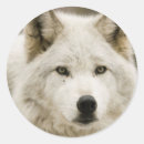 Search for danger stickers Wild