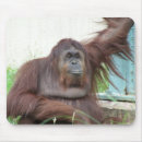 Search for lemurs mousepads Monkey