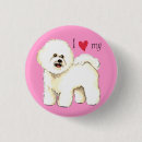 Search for frise badges Bichon