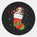 Search for dog store stickers Xmas shopping deals