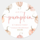 Search for our little pumpkin stickers Birthday party