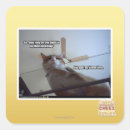 Search for pasted stickers I can has cheezburger