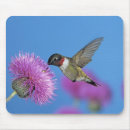 Search for ruby throated mousepads Motion