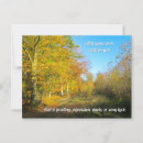 Search for colorful leaves postcards Tree