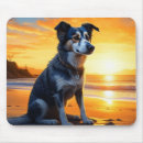 Search for cards mousepads Dog