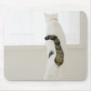 Search for rearing electronics Animal
