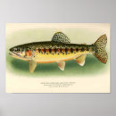 Search for trout art Outdoor