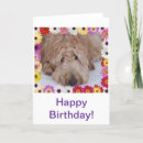 Search for goldendoodle birthday cards Cute