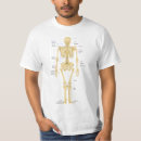 Search for human skeleton Bones
