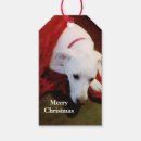 Search for cute christmas gift tags Labrador retriever