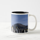 Search for antarctica mugs blue