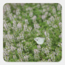 Search for wild side stickers Outdoors