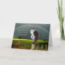 Search for cat pet sympathy cards Bridge