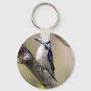 Search for bird house key rings Car