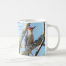 Search for woodpecker coffee mugs Red bellied woodpecker