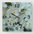 Search for spring bulbs art Flowers