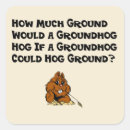 Search for groundhogs day stickers Nature