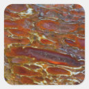 Search for bones square stickers Pattern