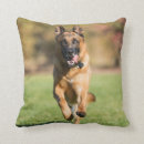 Search for german shepherd cushions Cute