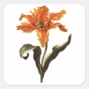 Search for orange lily stickers Lilium