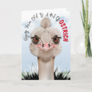 Search for ostriches cards Bird