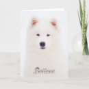 Search for samoyed dog postcards Sammy