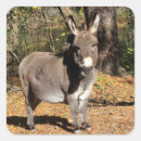 Search for cute donkeys stickers Farm animal