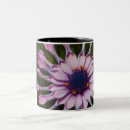 Search for african daisy mugs Nature
