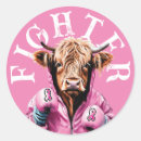 Search for breast cancer fighter stickers Survivor