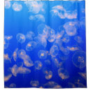 Search for jellyfish shower curtains Photography