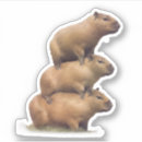 Search for graphic tshirt stickers Funny