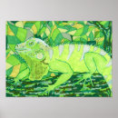 Search for iguanas posters Reptile