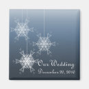 Search for winter snowflake magnets White