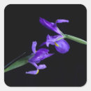 Search for exotic flower stickers Purple