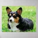 Search for cute corgi art Corgis