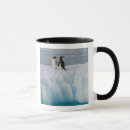 Search for gentoo mugs Antarctica