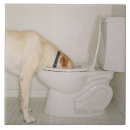 Search for drinking tiles Indoors