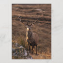 Search for stag invitations Wood