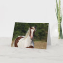 Search for haflinger cards Breed