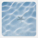 Search for water ripple stickers Nature