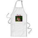 Search for wings aprons Insect