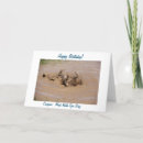 Search for in the mud cards Dog